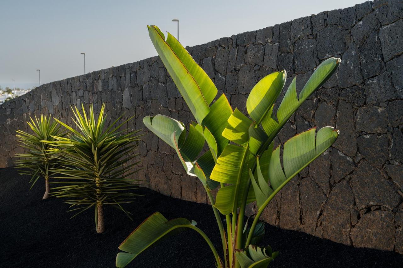 Villas Altos De Lanzarote Playa Blanca  Esterno foto